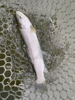 IMG_3516.jpeg