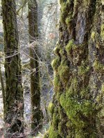 IMG_2838.jpeg