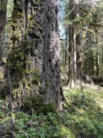 IMG_2839.jpeg