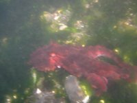 IMG_0168.jpeg IMG_0168.jpeg