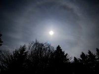 IMG_0051.jpeg