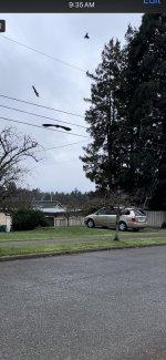 IMG_0062.jpeg