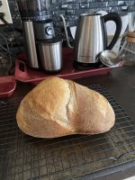 IMG_1654.jpeg IMG_1654.jpeg
