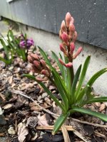 IMG_0064.jpeg
