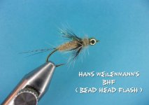 Hans Weilenmann's BHF.jpg Hans Weilenmann's BHF.jpg