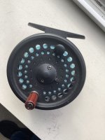 IMG_0095.jpeg