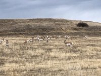 IMG_3702.jpeg