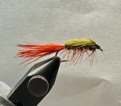 IMG_6584.jpeg IMG_6584.jpeg