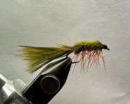 IMG_6586.jpeg IMG_6586.jpeg