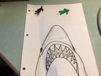 IMG_3696.jpeg