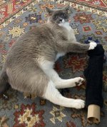 IMG_9237.jpeg