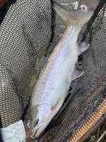IMG_3625.jpg