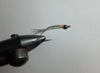 IMG_0164.jpeg