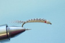 La Arome de Minnow_2-1.jpg