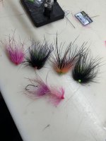 4EDB18DB-FDE1-431C-87AB-87D598ECF6B6.jpeg