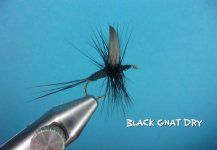 Black Gnat Dry.jpg