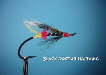 Black Doctor Hairwing.jpg