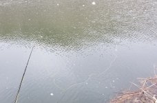 20240302_snow_wind.jpg