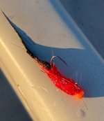 IMG_9279.jpeg