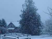 IMG_20240304_065549748.jpg