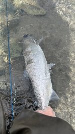 IMG_7933.jpg