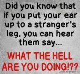 IMG_3207.jpeg