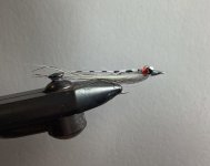IMG_0168.jpeg