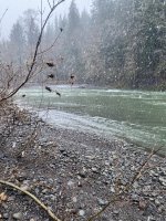 IMG_3896.jpeg