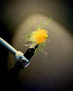 IMG_3550.jpeg