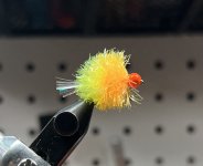 IMG_6623.jpeg