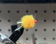 IMG_6624.jpeg