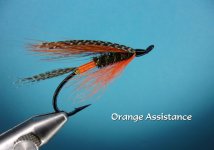 Orange Assistance.jpg