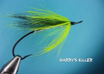 Harry's Killer.jpg