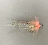 IMG_3740.jpeg