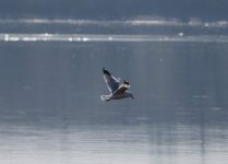 DSC00277.JPG