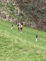 IMG_8603.jpeg