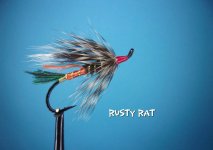 rusty rat.jpg rusty rat.jpg