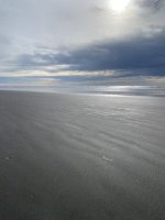IMG_3927.jpeg