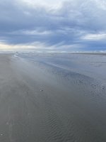 IMG_3929.jpeg
