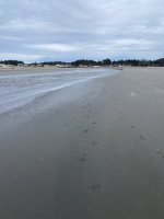 IMG_3928.jpeg