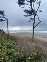 IMG_3938.jpeg