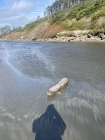 IMG_3940.jpeg