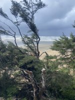 IMG_3941.jpeg