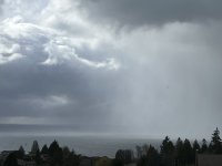IMG_6694.jpeg