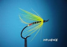 Influence.jpg