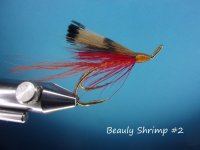 Beauly Shrimp #2.jpg