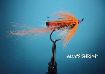 alley's shrimp.jpg