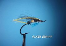 Silver Errif.jpg
