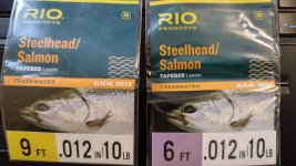 Steelhead.jpg