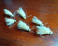Butch caddis.jpg